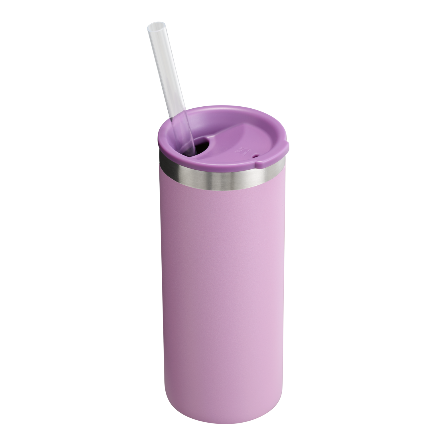 The Everyday Slim Can Cooler Cup | 10 OZ - Stanley Create